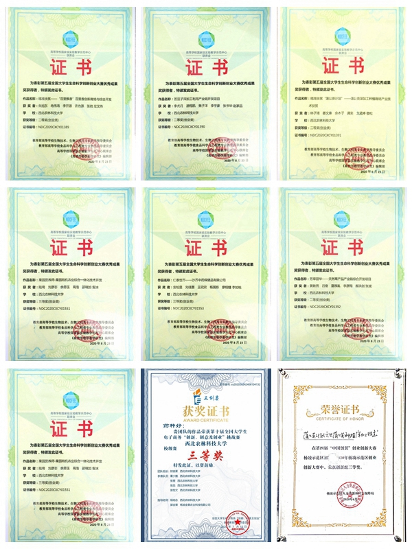 学院学生在2020年各项全国大学生创新创业中取得优异成果.jpg